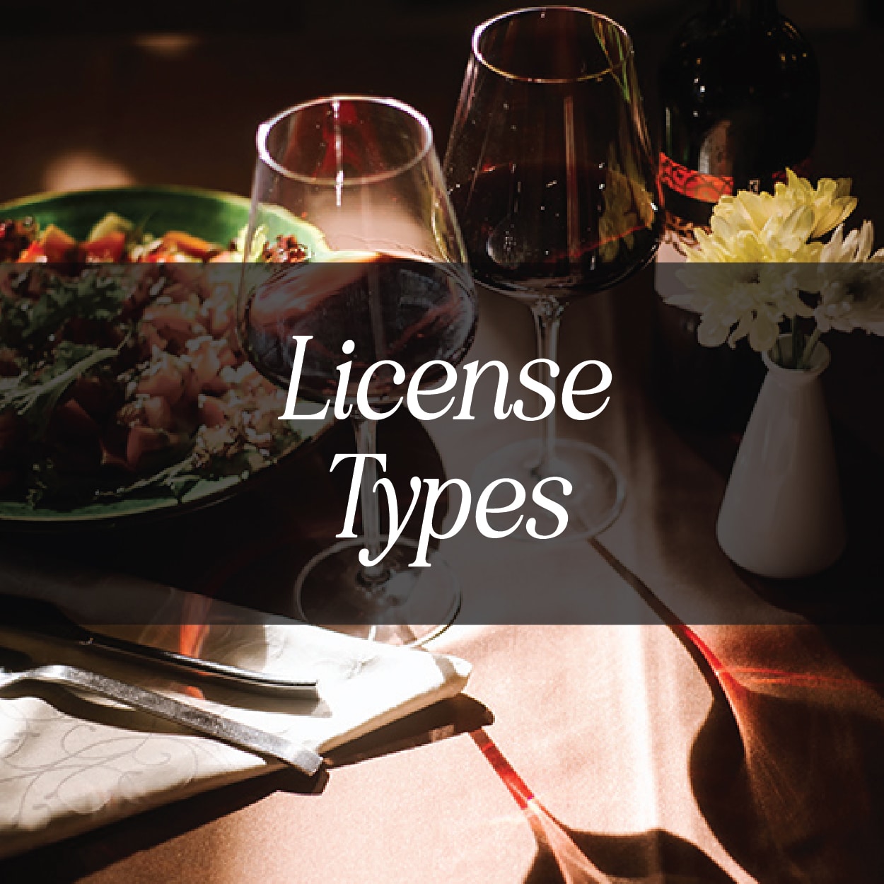 licensetypes