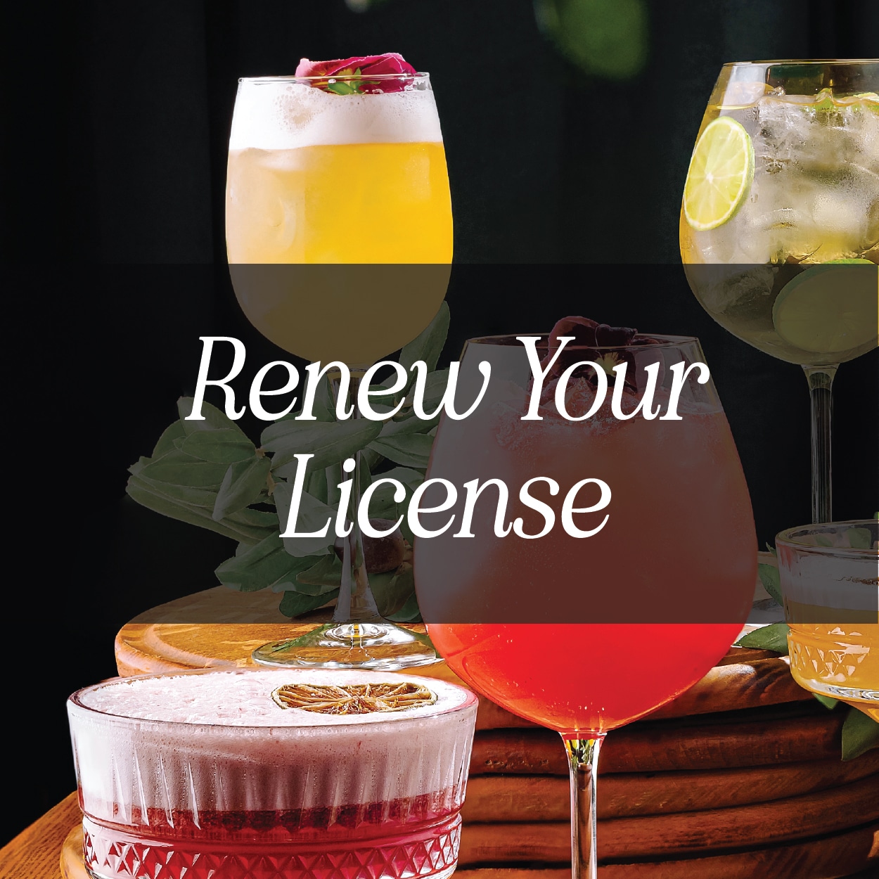 PEI Liquor License Renewals